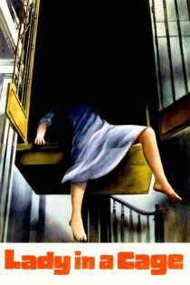 دانلود فیلم Lady in a Cage 1964 بدون سانسور با پخش آنلاین