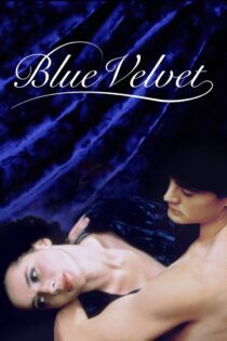 دانلود فیلم Blue Velvet 1986 بدون سانسور با پخش آنلاین دانلود فیلم Blue Velvet 1986 بدون سانسور با پخش آنلاین