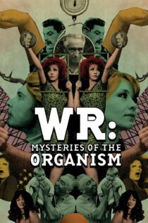 دانلود فیلم WR: Mysteries of the Organism 1971 بدون سانسور با پخش آنلاین دانلود فیلم WR: Mysteries of the Organism 1971 بدون سانسور با پخش آنلاین