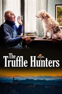 دانلود فیلم The Truffle Hunters 2020 بدون سانسور با پخش آنلاین