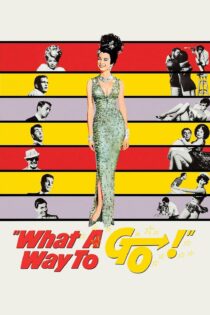 دانلود فیلم What a Way to Go! 1964 بدون سانسور با پخش آنلاین