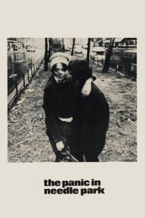 دانلود فیلم The Panic in Needle Park 1971 بدون سانسور با پخش آنلاین