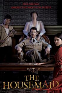 دانلود فیلم The Housemaid 2016 بدون سانسور با پخش آنلاین