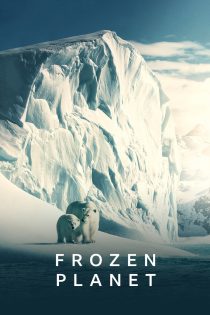 دانلود سریال Frozen Planet بدون سانسور