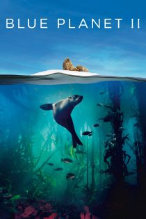 دانلود سریال Blue Planet II بدون سانسور دانلود سریال Blue Planet II بدون سانسور