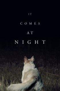 دانلود فیلم It Comes at Night 2017 بدون سانسور